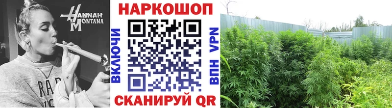 Где можно купить наркотики Саранск блэк спрут ONION  МАРИХУАНА  Мефедрон  Гашиш  Галлюциногенные грибы  COCAIN  АМФ  A PVP 