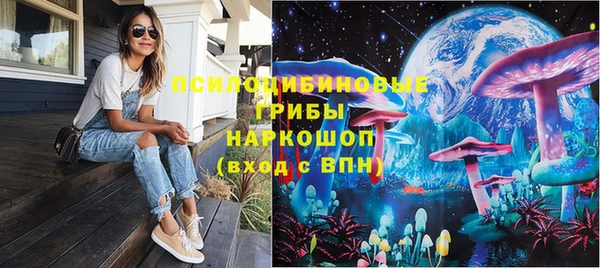 spice Каменка