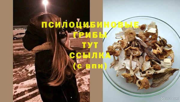 стафф Арсеньев