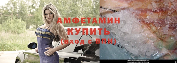 стафф Арсеньев