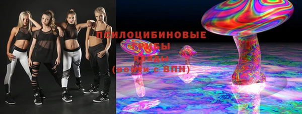 стафф Арсеньев