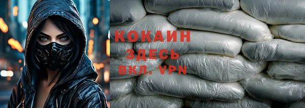 индика Аркадак
