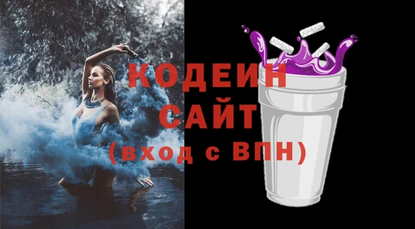 индика Аркадак