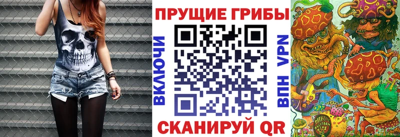 маркетплейс телеграм  Саранск  Псилоцибиновые грибы мицелий  купить  