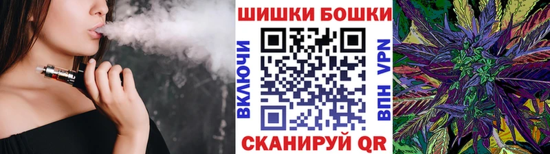 Бошки марихуана ГИДРОПОН  как найти закладки  Саранск 